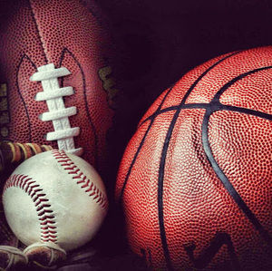 Meet your Posher, Maddox